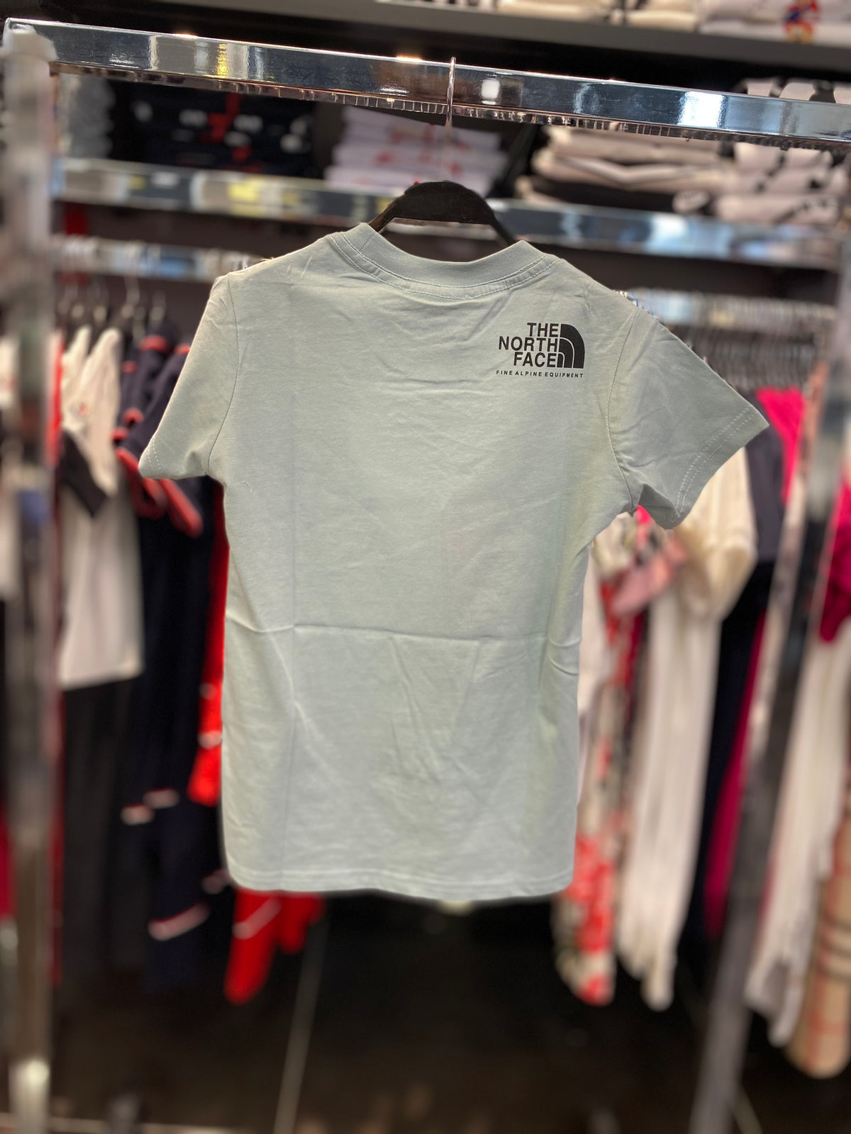 North Face T-shirt Mint