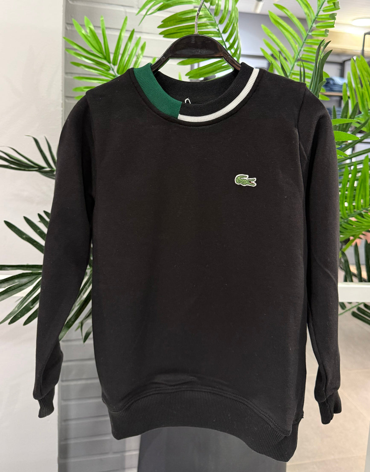 Lacoste sweatshirt