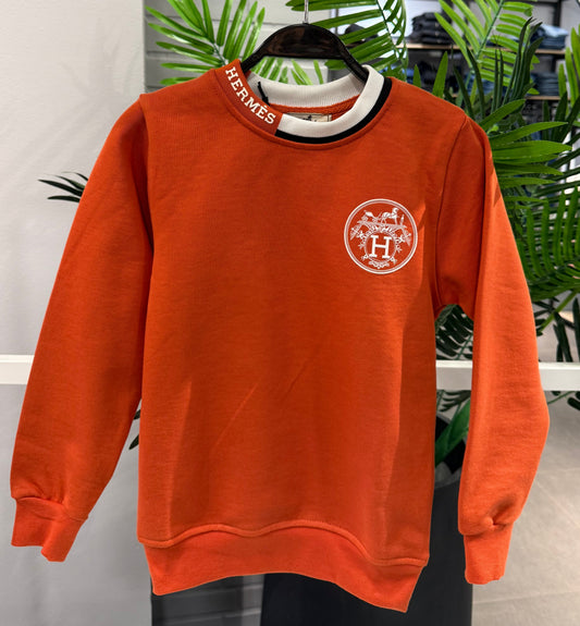 Hermes sweatshirt